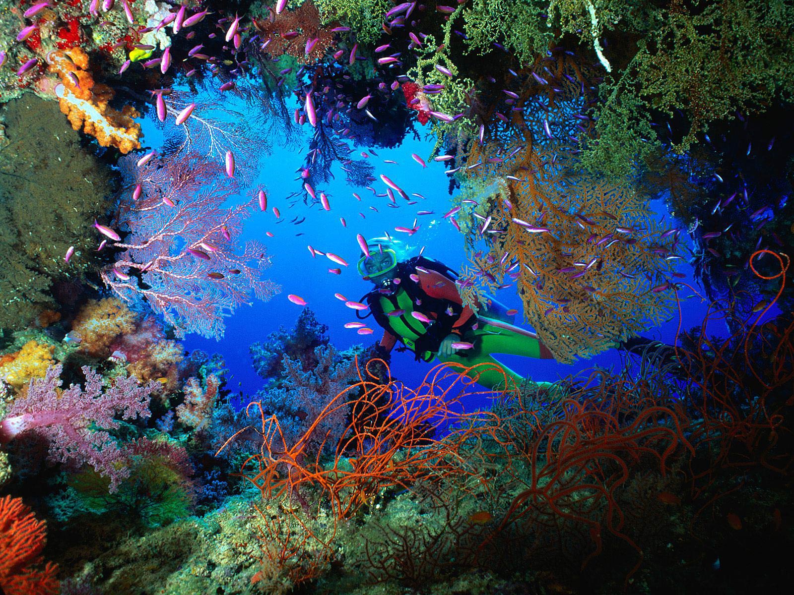 blog image